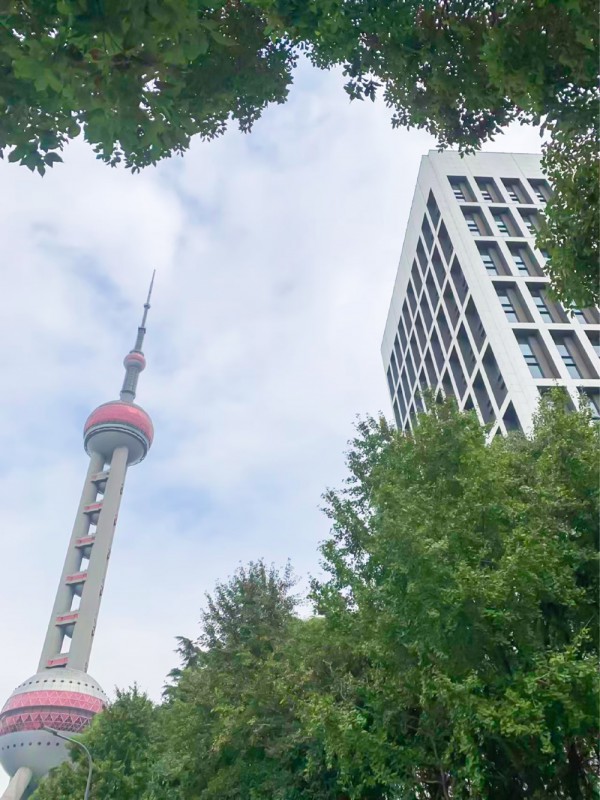 民生保险