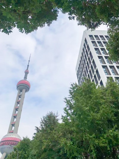 民生保险